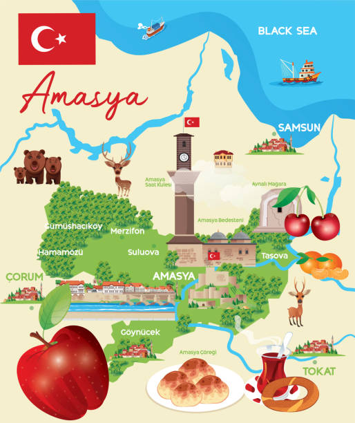 bildbanksillustrationer, clip art samt tecknat material och ikoner med amasya map - illustrationer med björn