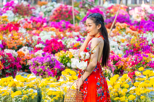Vietnamese girl wearing traditional ao dai dress, holding flower branch to enjoy the new year in Vietnam. Tet holiday and New Year. Travel and portrait concept