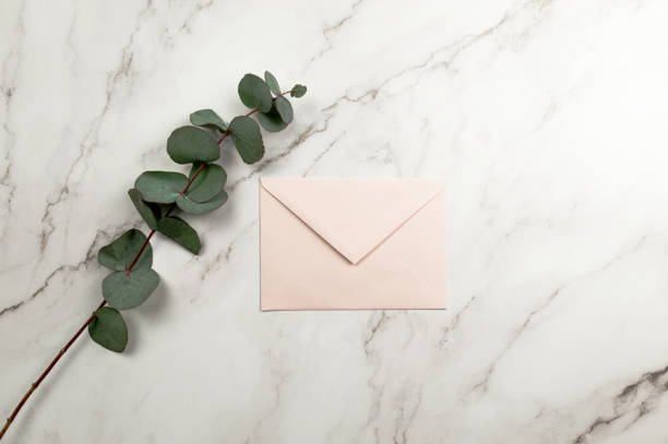 Top view of eucalyptus leaves and pink envelope on white marble background.