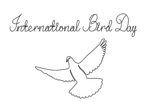 Abstract pigeon,dove.continuous single line art hand drawing sketch, black and white logo of the International Bird Day.