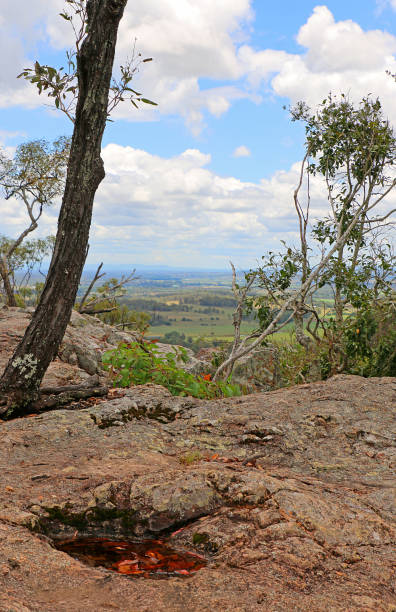High along Mt Edwards hiking trail, rocky outcrop offers views through the trees, across landscape. Leaves and water sit in hollow in the rock. Cumulus clouds in the sky.