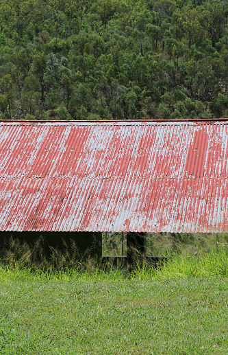 Peeling paint on old meeting shed roof, between overgrown grass field, and treed mountainside