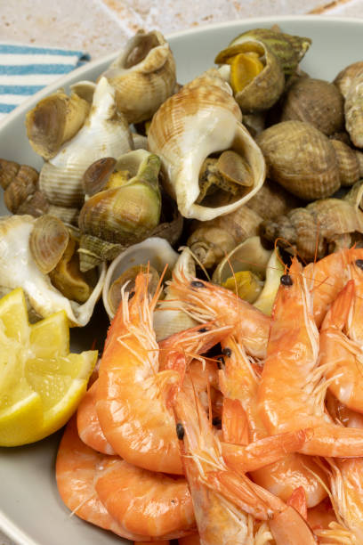 istock plate of shrimp and whelks, close-up 1987088599