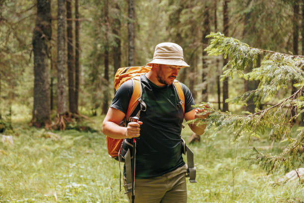 istock Eco Friendly Adventure Successful Researcher Inspecting Plants in the Wilderness 1987094212