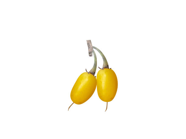 Pala Pandlu 70+ Palai Stock Photos, Pictures & Royalty-Free Images - iStock