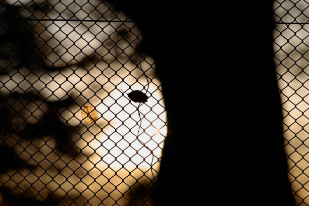 Fighting cage in dark gym.