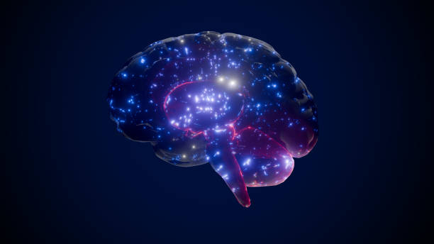 istock Brain digital. Neuron connections. Futuristic medical technology concept. 1987144445