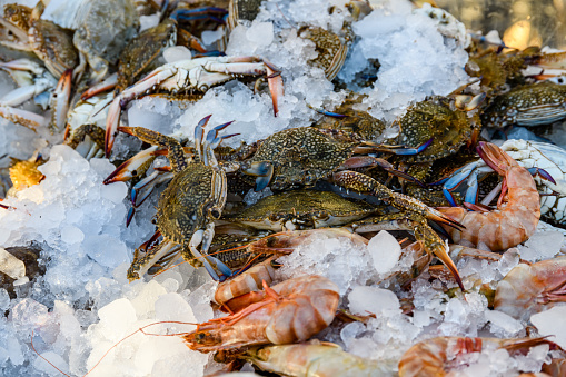 Crabs and shrimps for sale at fish market