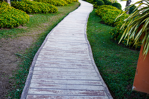 Picture of a pondside walkway made of wood panels and cement in a public flower garden.