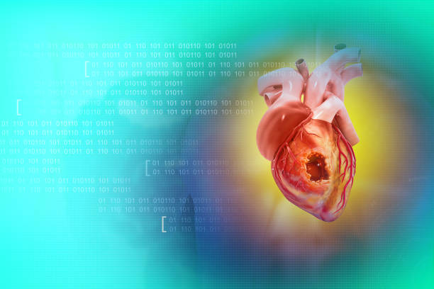 istock Human heart disease. Coronary artery disease and heart attack. 3d illustration 1987188413