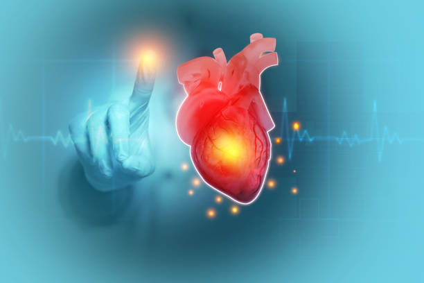 istock Doctor check and diagnose the human heart. 3d illustration 1987189523
