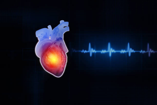 istock Heart attack and heart disease. 3d illustration 1987196514