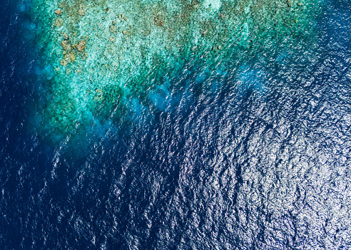 Aerial drone view of coral reef