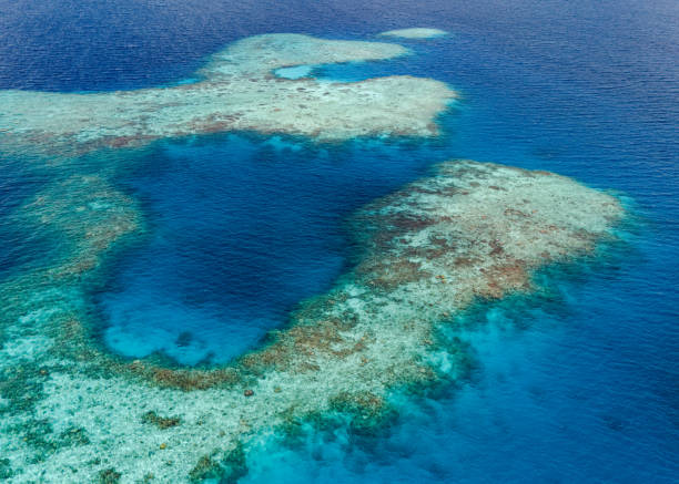 istock Aerial drone view of coral reef 1987219290