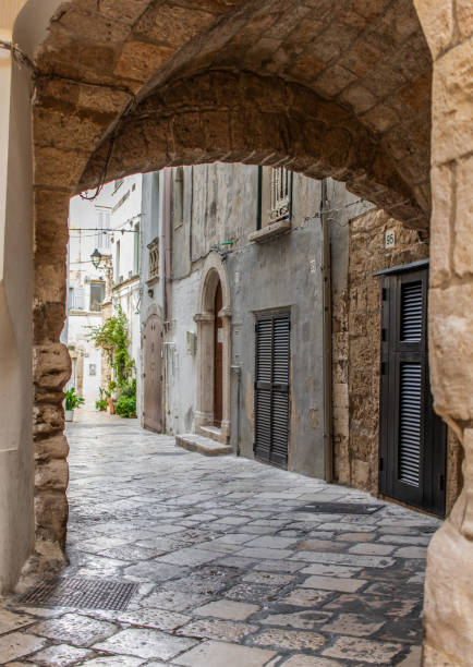 istock Polignano a mare, Apulia - Italy 1987219374