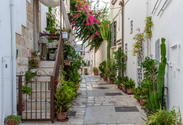 istock Polignano a mare, Apulia - Italy 1987219416