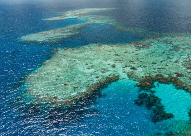 istock Aerial drone view of coral reef 1987219987