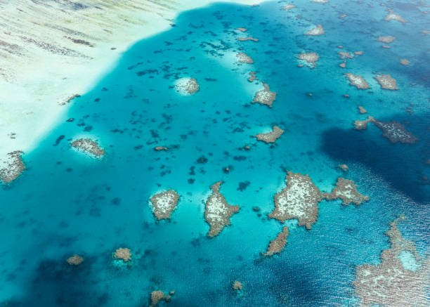istock Aerial drone view of coral reef 1987228418