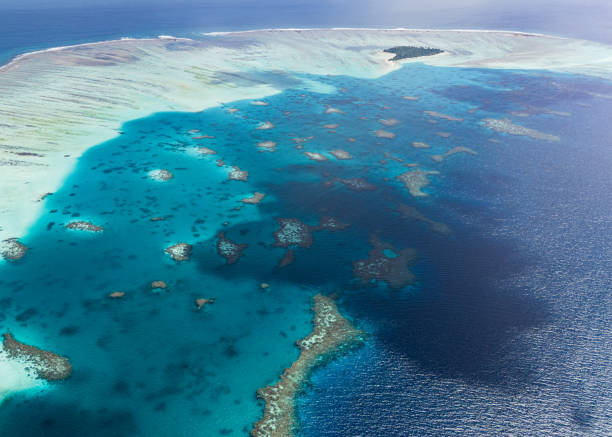 istock Aerial drone view of coral reef 1987229430
