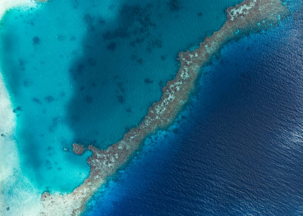 Aerial drone view of coral reef