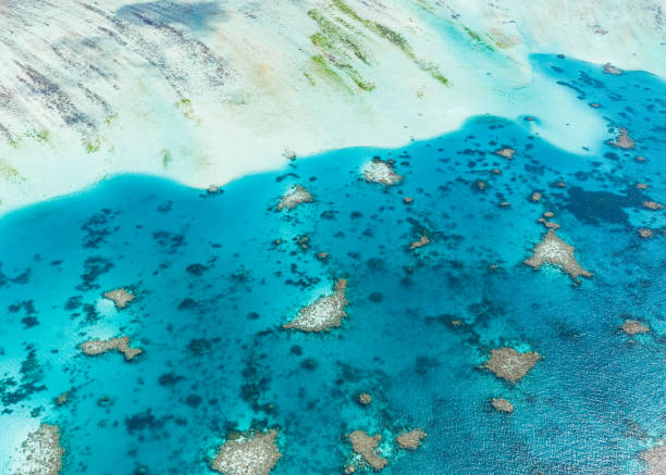 istock Aerial drone view of coral reef 1987234812