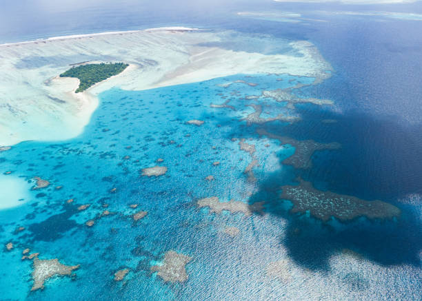 istock Aerial drone view of coral reef 1987236505