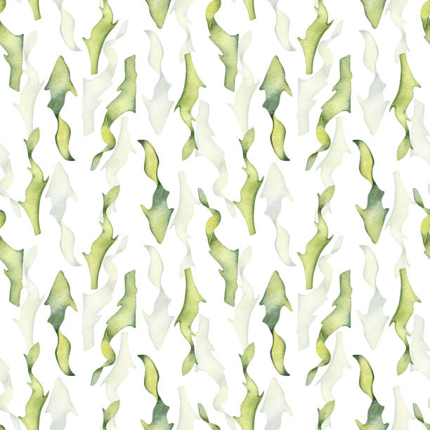 watercolor seamless pattern of colorful laminaria illustration isolated on white. kelp, seaweeds hand drawn. painted algae. design for background, textile, packaging, wrapping, marine collection - spirulina pacifica illustrations stock-grafiken, -clipart, -cartoons und -symbole