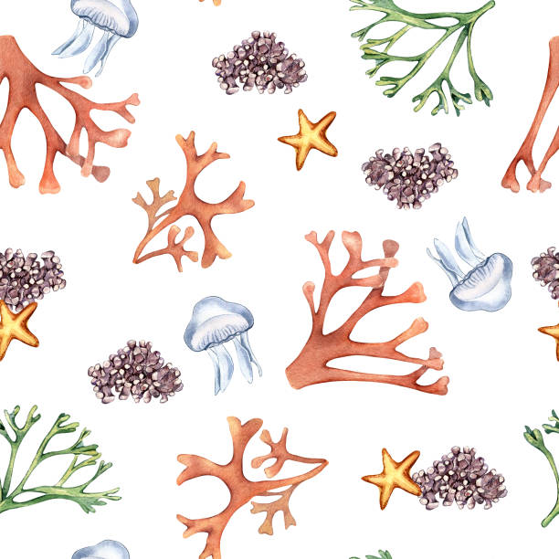 illustrazioni stock, clip art, cartoni animati e icone di tendenza di watercolor seamless pattern of sea plants and starfish isolated on white. seaweeds and coral hand drawn. painted colorful algae print. design element for textile, paper, packaging, marine collection - water plant coral sea jellyfish