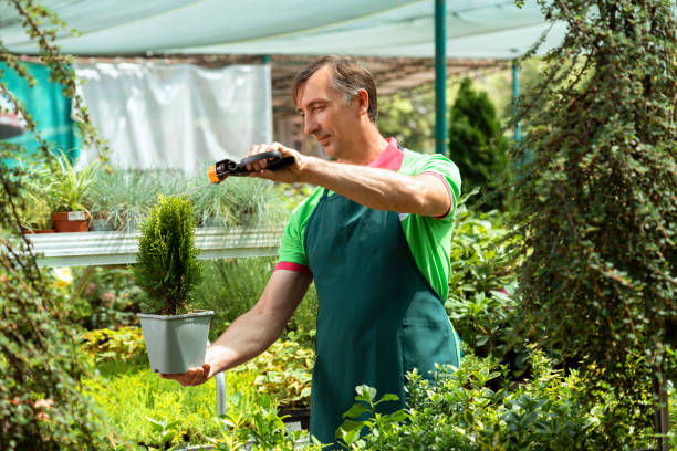 istock Man working in a garden center standing and holding plants 1987251446