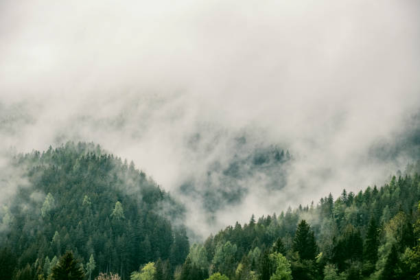 istock Clouds over the forest in the Zgornje Jezersko valley view during springtime 1987284140