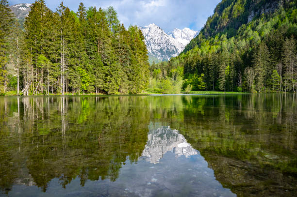 istock Alpine like in a valley with mountains in the background during springtime 1987284731