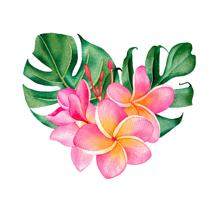 Watercolor floral tropical bouquet with plumeria and leaves, isolated on white background. Hand drawn illustration for cosmetics and perfume packaging design.