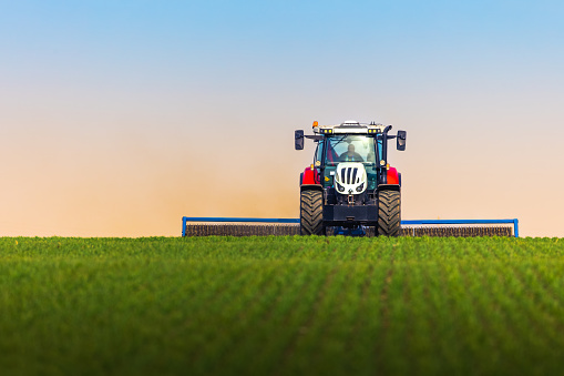 Tractor with a roller tillage on spring field. Soil rolling supports germination and is the basis for good harvesting, organic farming and agronomy