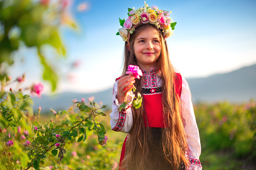 Bulgarian beautiful girl in traditional ethnic folklore dress and aromatic oil roses in blooming field, Kazanlak, Bulgaria