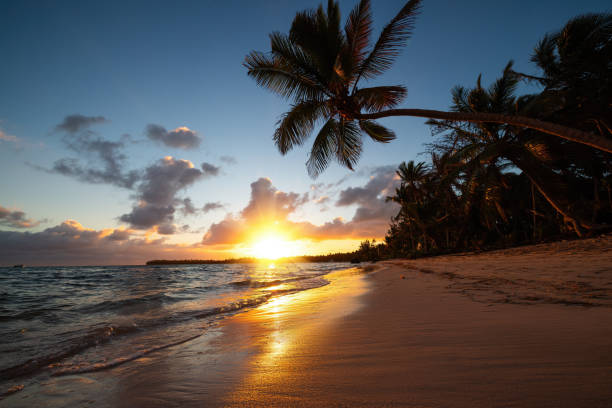 istock Landscape of paradise tropical island beach 1987320241