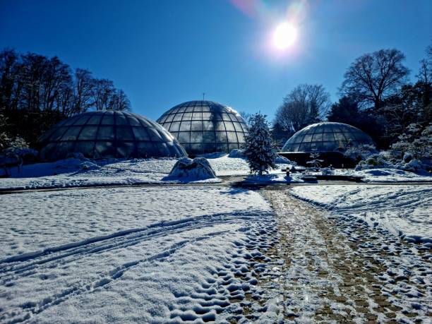 Botanical Garden of the University of Zurich with the glasshouses, captured during winter season.