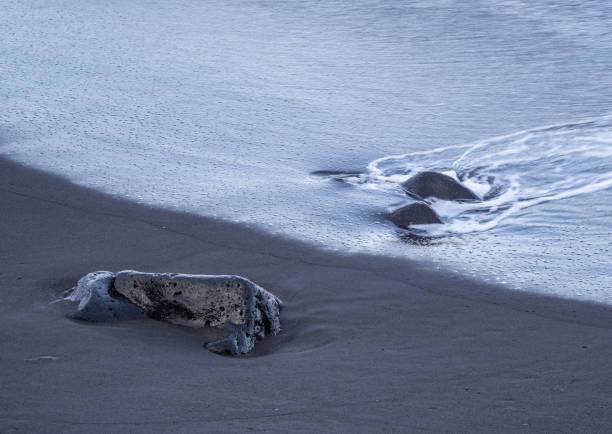 istock beach with black volcanic sand on  Tenerife 1987325098