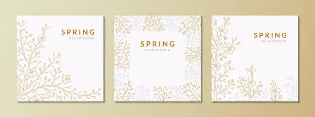 Vector illustration of Set of square spring backgrounds with golden and silver sakura branches in bloom. Elegant greeting card, wedding invitation, social media post template, obituary, condolence, corporate certificate template