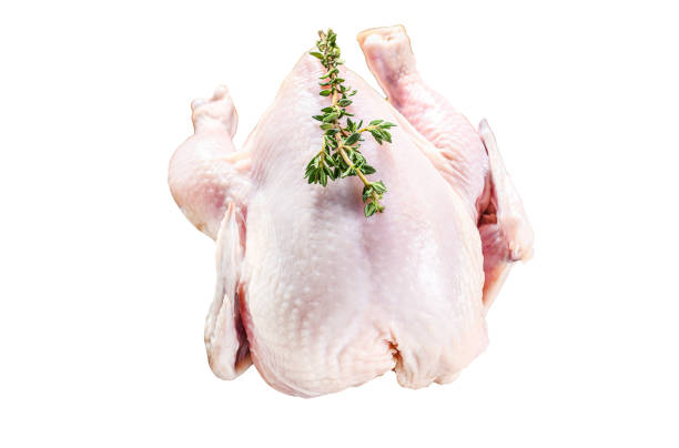 istock Whole raw Free range chicken with thyme and spices.  Isolated on white background. Top view. 1987353123