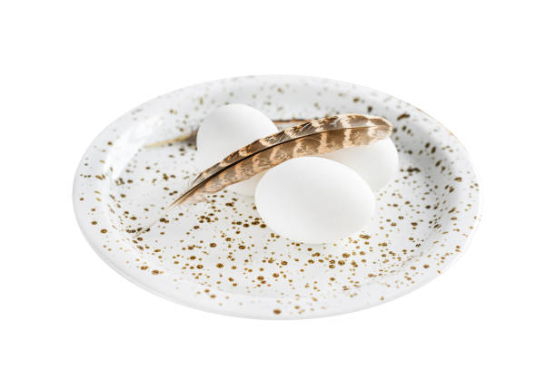 White background with white eggs and feathers.   Isolated on white background. Top view