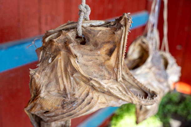 istock Dried fish are hanging from the ceiling, A village Lofoten, Norway 1987386490