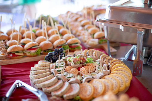 Different species of canapes appetizers on a garden party