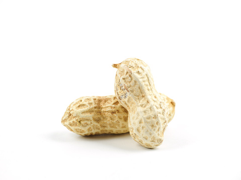 Peanut on White Background