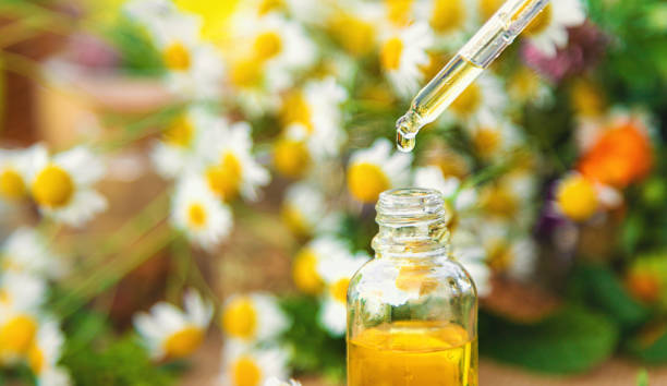 istock Chamomile extract and medicinal herbs and flowers. Selective focus. 1987402055