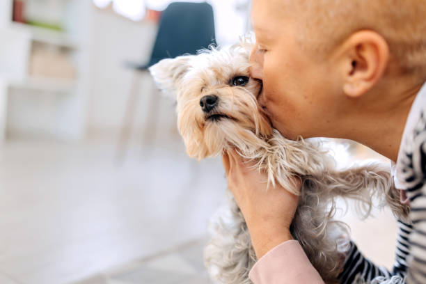 istock Woman bonding with cute little dog at home 1987409068