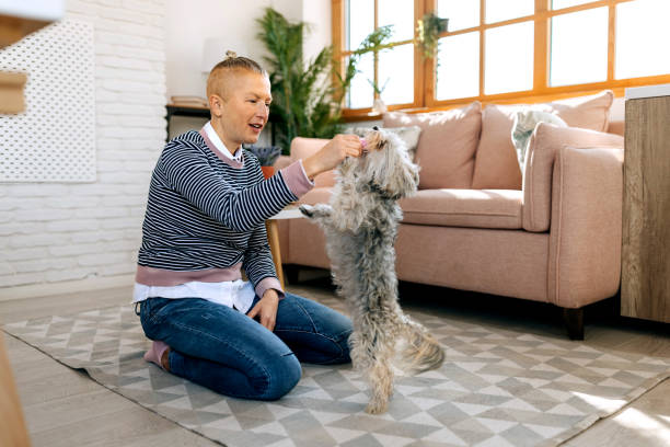 istock Woman playing with her cute little dog at home 1987409070