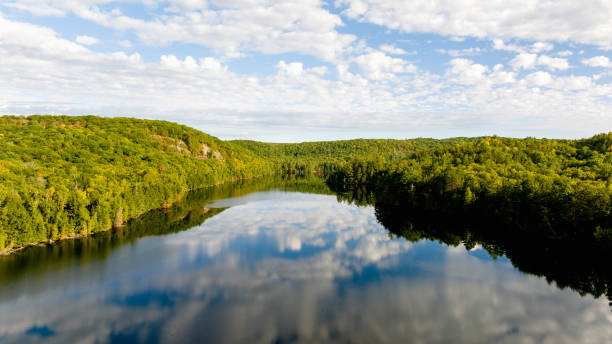 istock High angle view of a forest and lake 1987452284