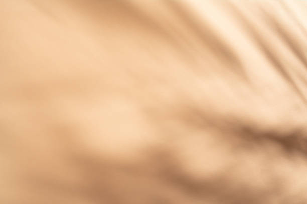 istock Peach cream color backdrop with plant shadows, abstract defocused photography 1987462159