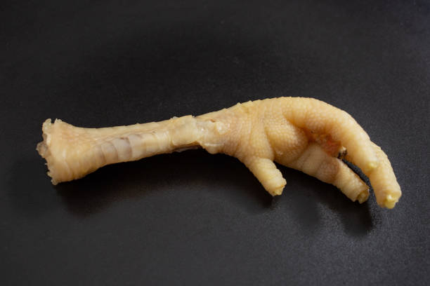Boiled chicken foot on a black ceramic plate texture, background for food crisis