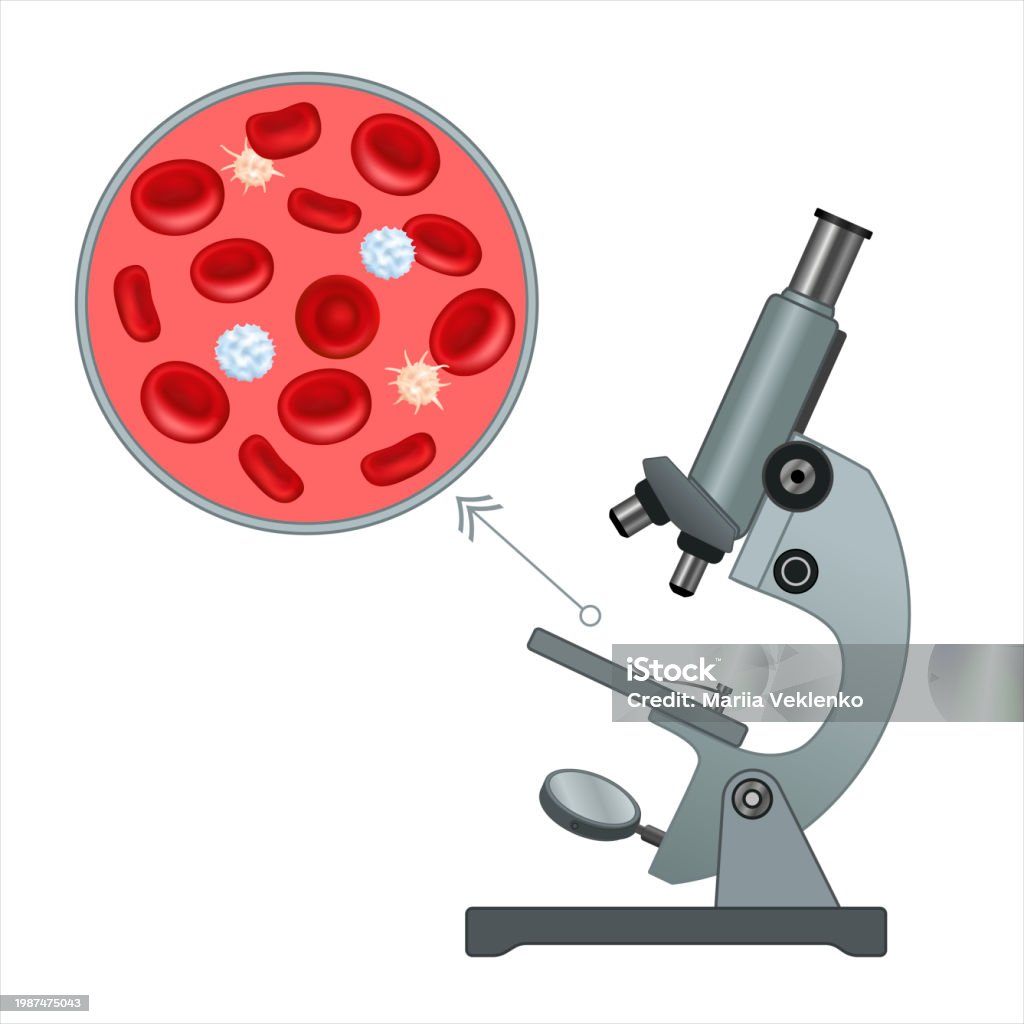 Microscope Blood Cell Machine Optical Microscope Viewing Red Blood Cells Stock Illustration ...